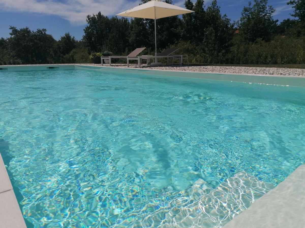 Sofia Vila Pazin